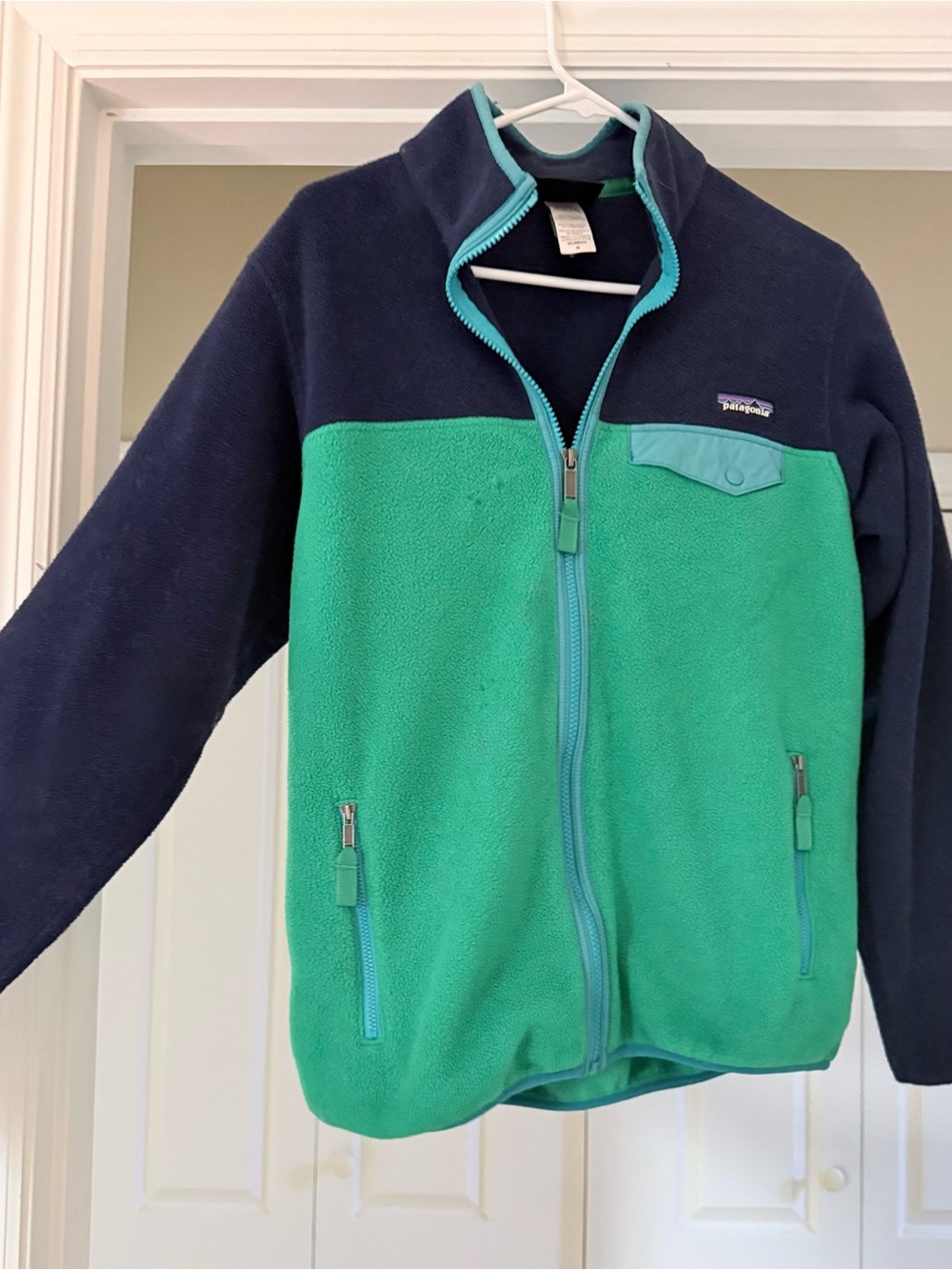 Patagonia Two-Tone Fleece Jacket in Navy and Green with Teal Trim